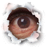   NewMan