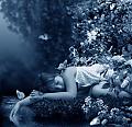   I_m_butterfly