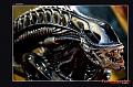   aliens3